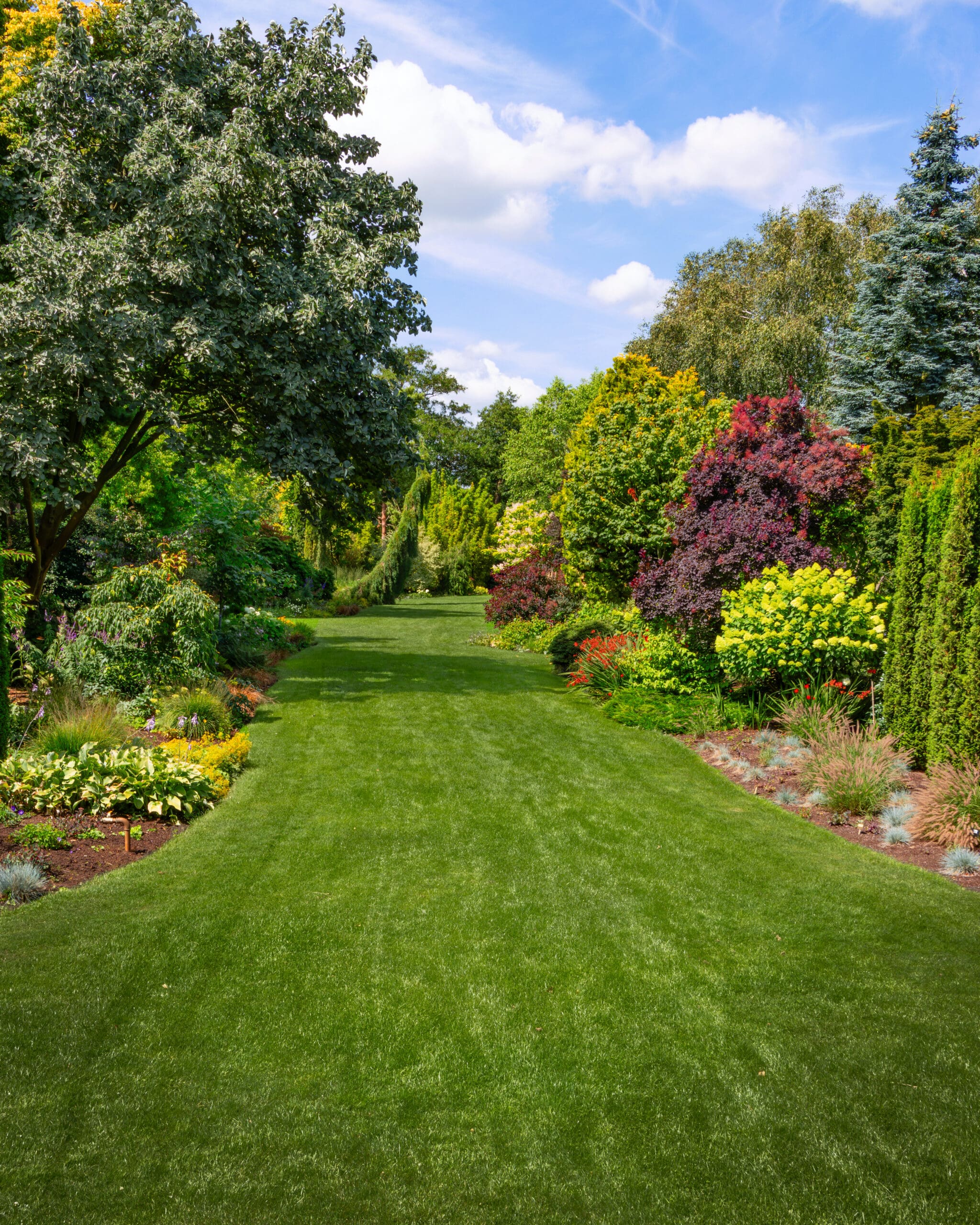 stunning landscape garden with green grass